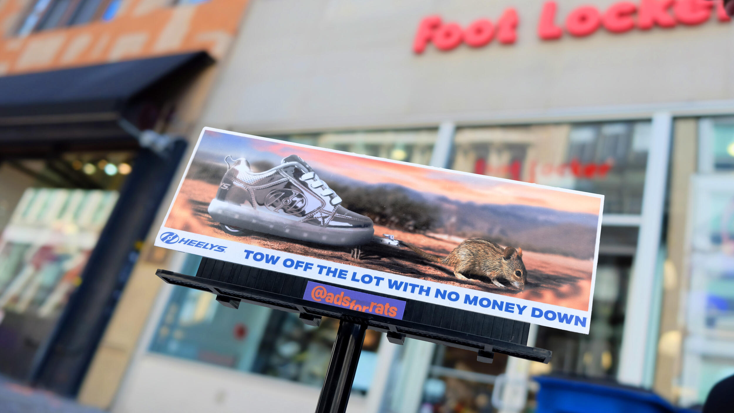 A photo of a mini billboard with a photo of a rodent next to a Helly shoe. The bottom of the billboard reads \"TOW OFF THE LOT WITH NO MONEY DOWN.\" \"HEELYS\" 