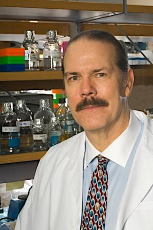 Paul B. Fisher, Ph.D.