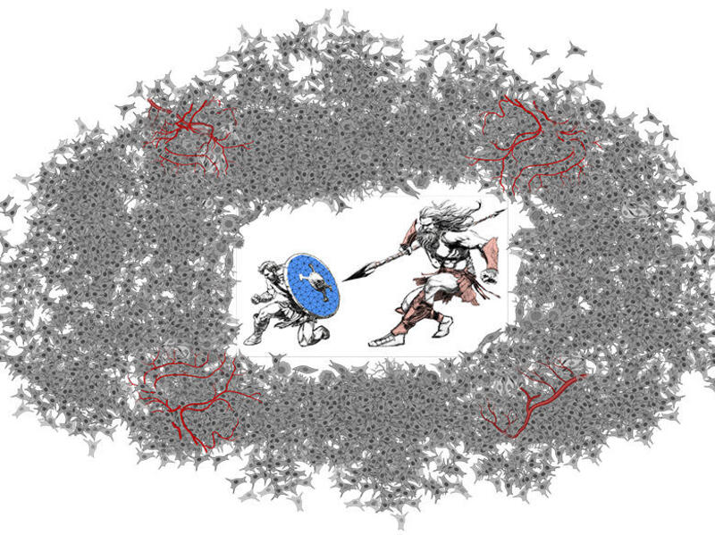 An illustration of a man with a spear attacking a man with a shield. They are surrounded by a cloud of cells. 