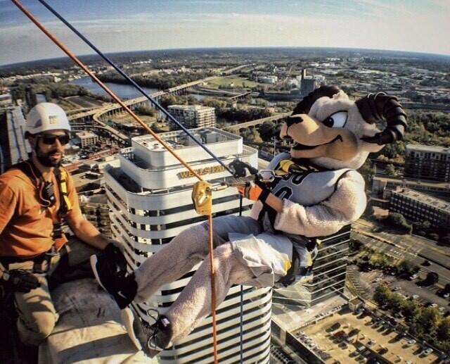 A person in a Rodney the Ram costume scaling the side of a building 