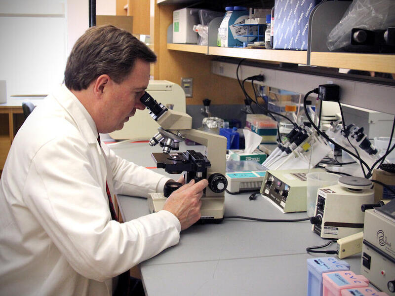 Man in lab looks into a microscope. 