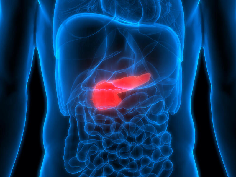 illustration of a person's abdomen with the pancreas highlighted in red