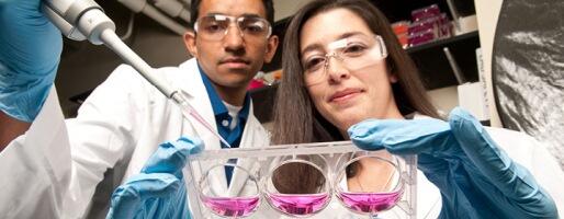 Rebecca Heise works with Sagar Patel, a biomedical engineering graduate student.
Photo by Doug Buerlein 
