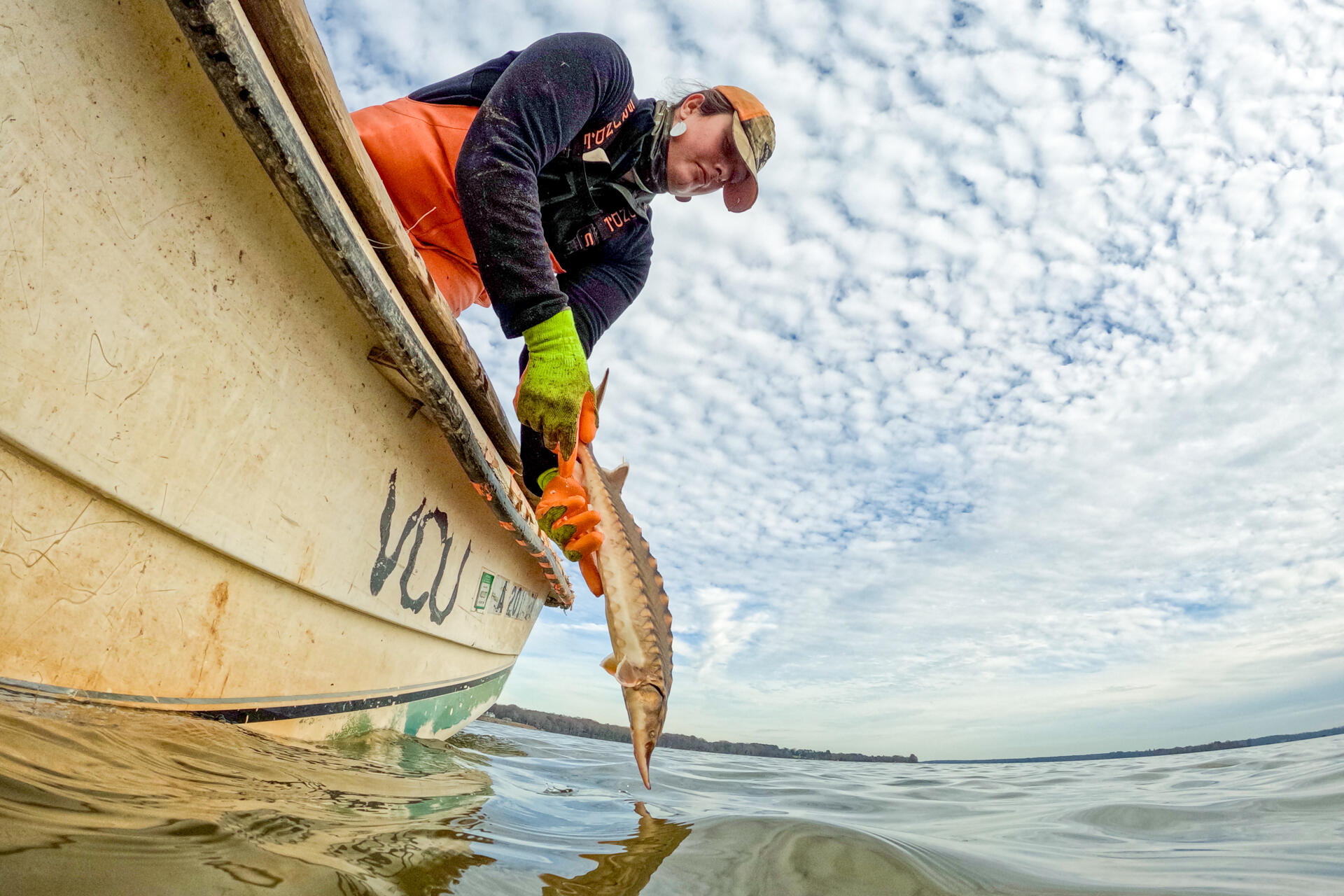 A photo of a woman in a boat releasing a fish into the water. 