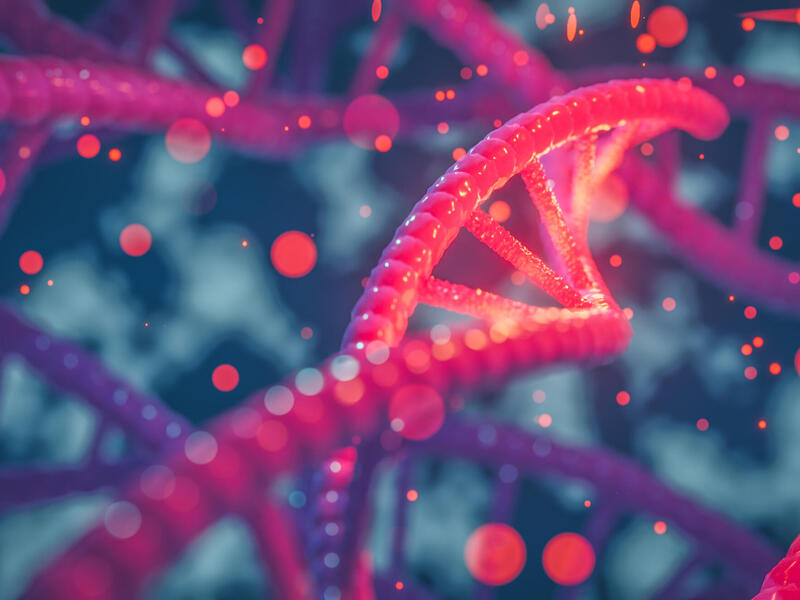 Microscopic image of DNA