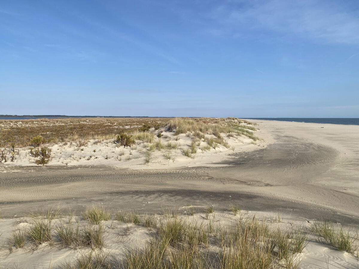A photo of a sand dune with the ocean slightly visable in the background. 