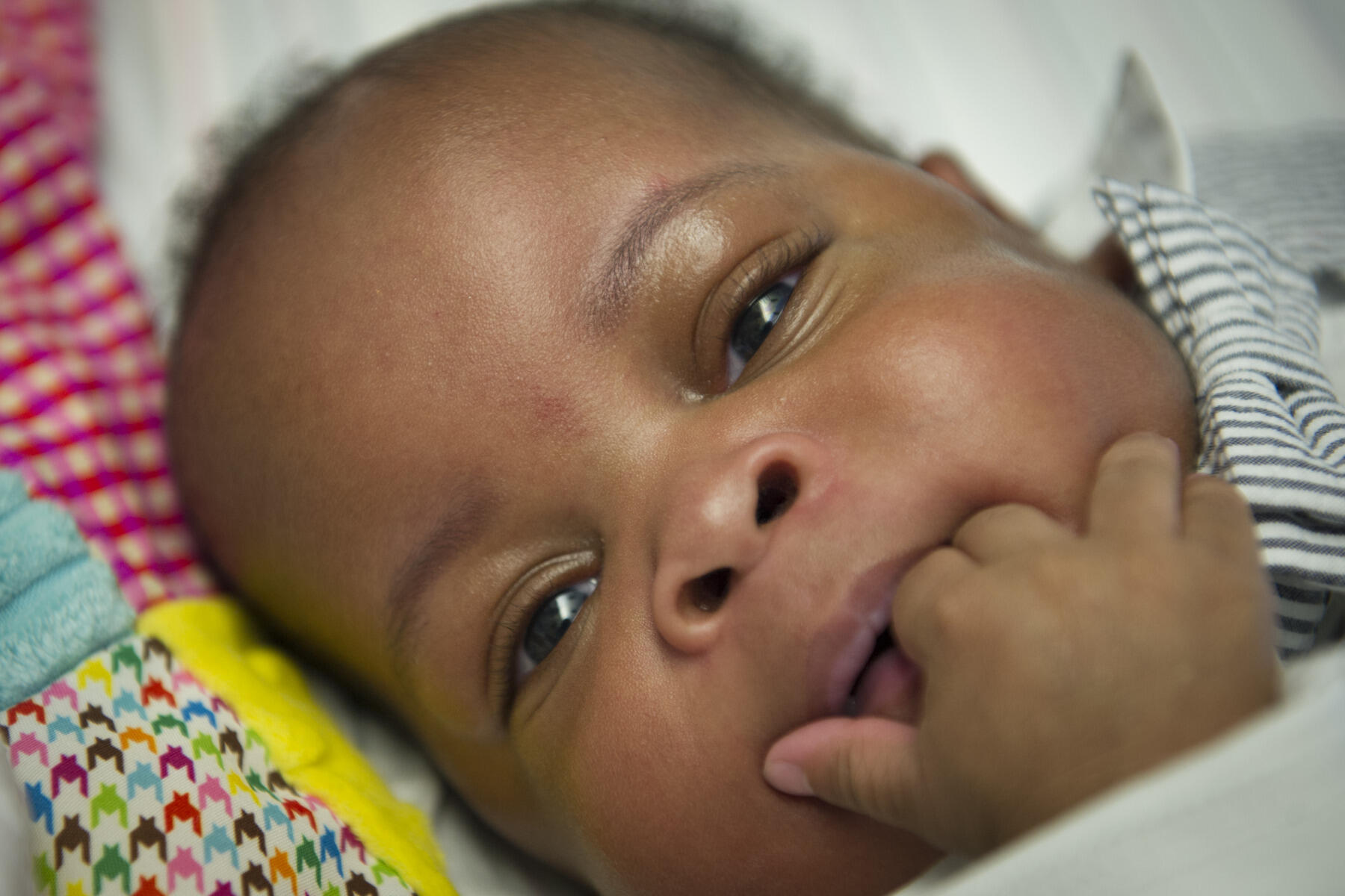 Photo by Julia Rendleman, University Marketing