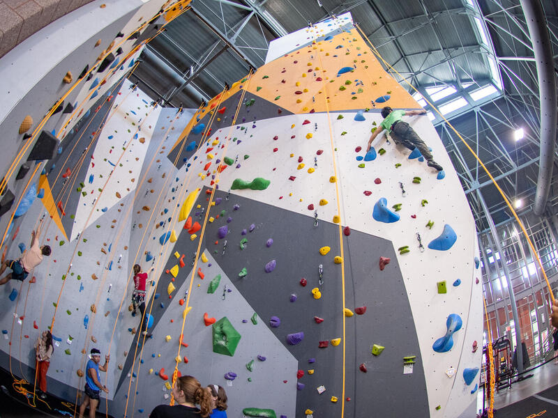 Students climbing or preparing to climb an indoor rock-climbing wall.