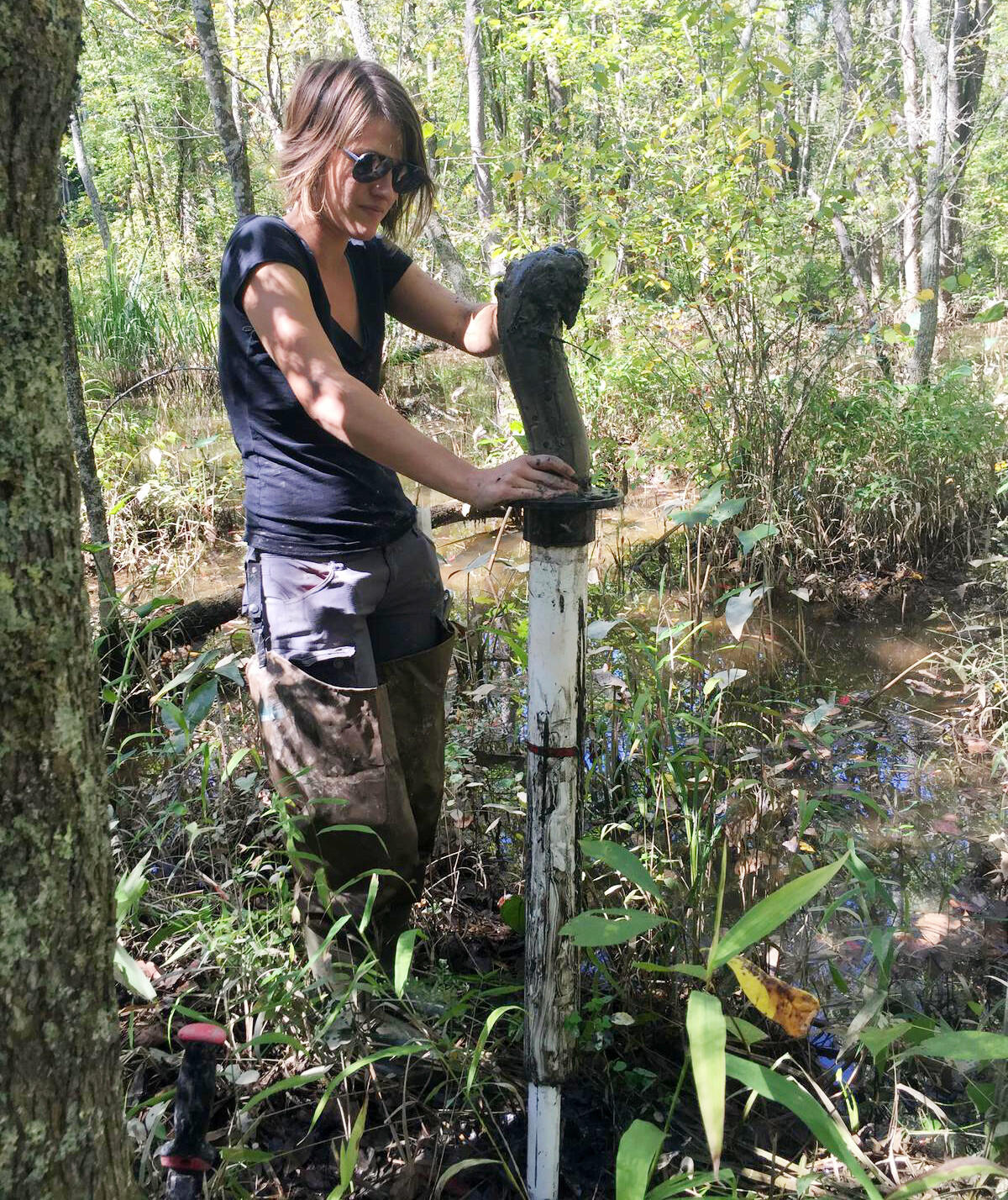 Ellen Stuart-Haëntjens takes a soil sample from wetlands at Rice Rivers Center. (Photo contributed by Ellen Stuart-Haëntjens)