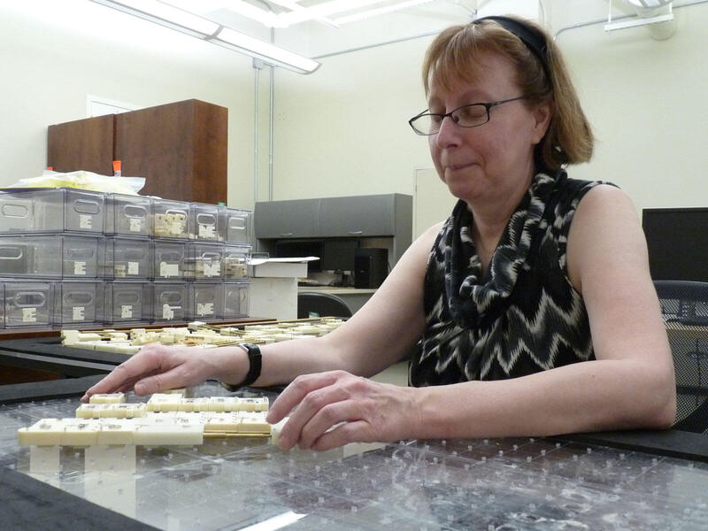 A photo of a woman sitting at a table. 