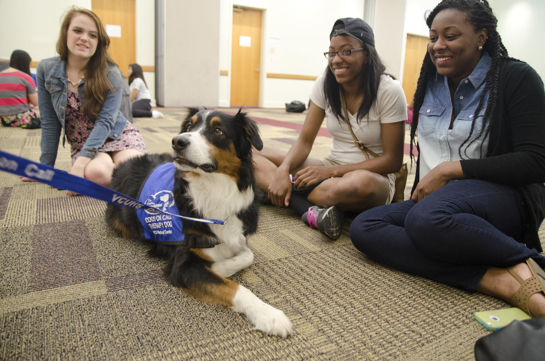 During exam season this spring, students will have the chance not only to relive stress by spending time with dogs but also with fish during the first Fins for Finals event.