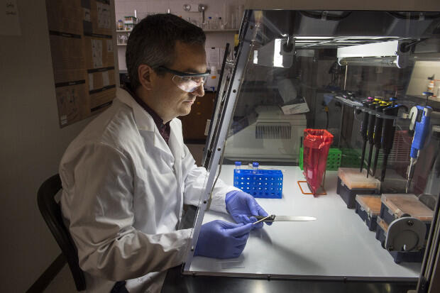 A man in a white coat holds a knife under a light in a laboratory.