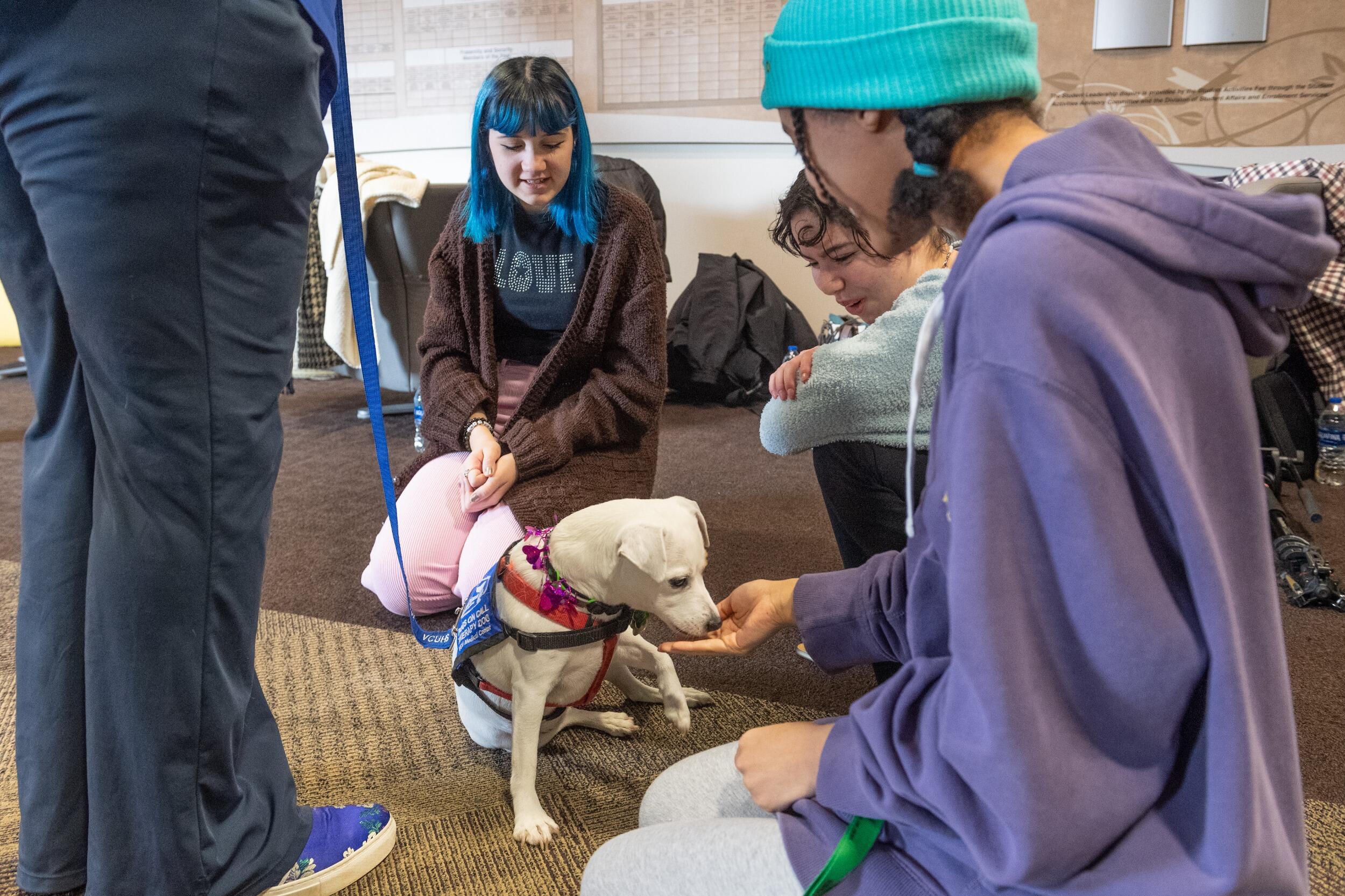 Students interacting with a therapy dog.