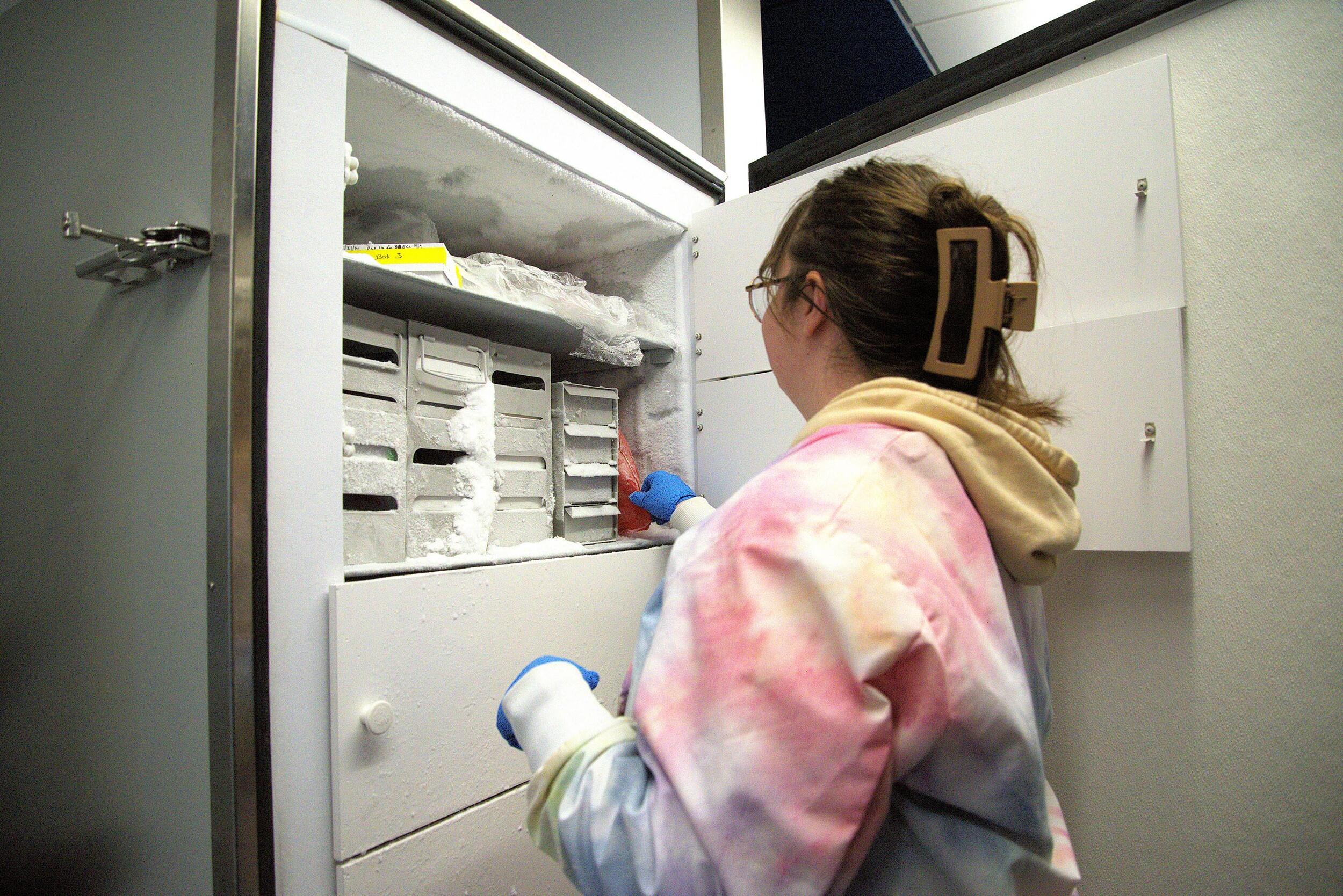 A photo of a woman reaching into a deep freezer. 