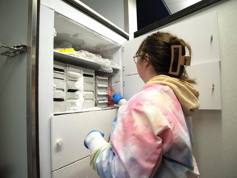 A photo of a woman reaching into a deep freezer. 