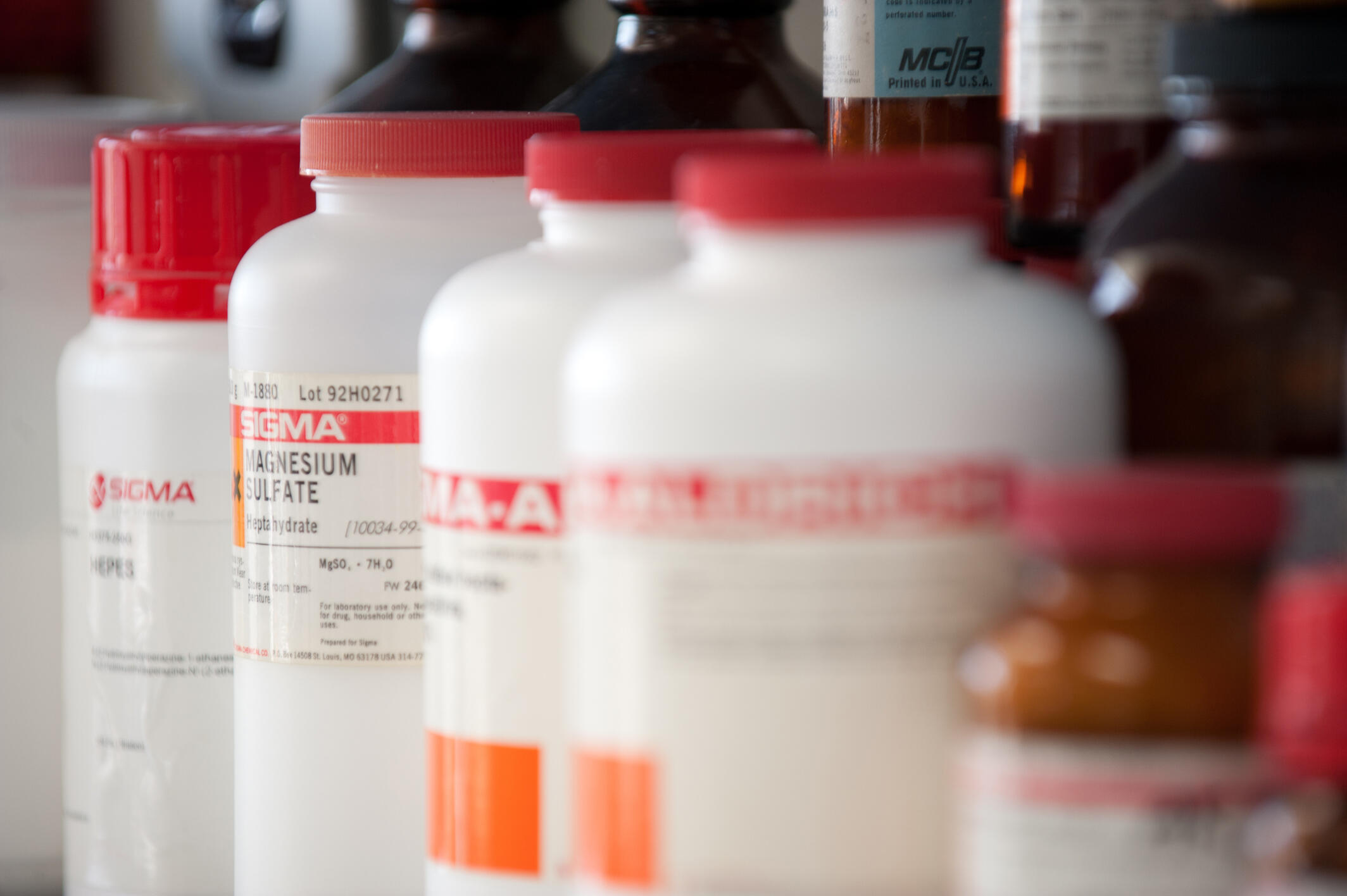 Pill bottles sit side-by-side in a lab at Virginia Commonwealth University.