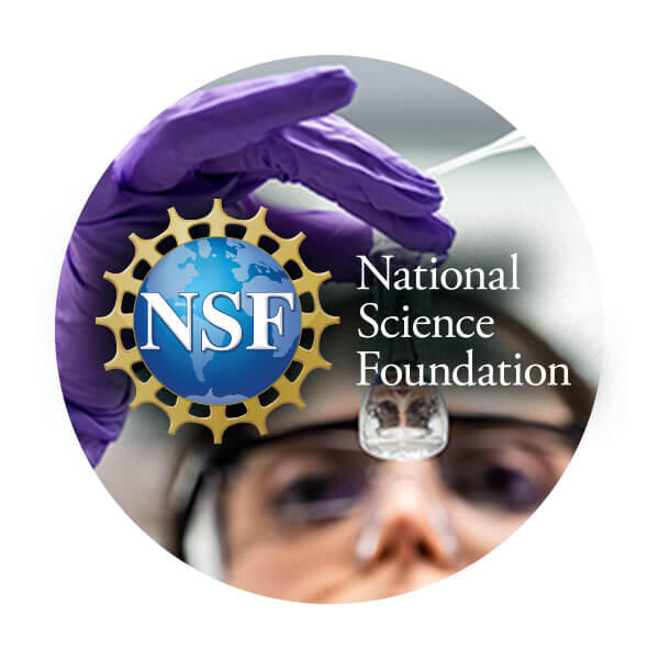 National Science Foundation badge