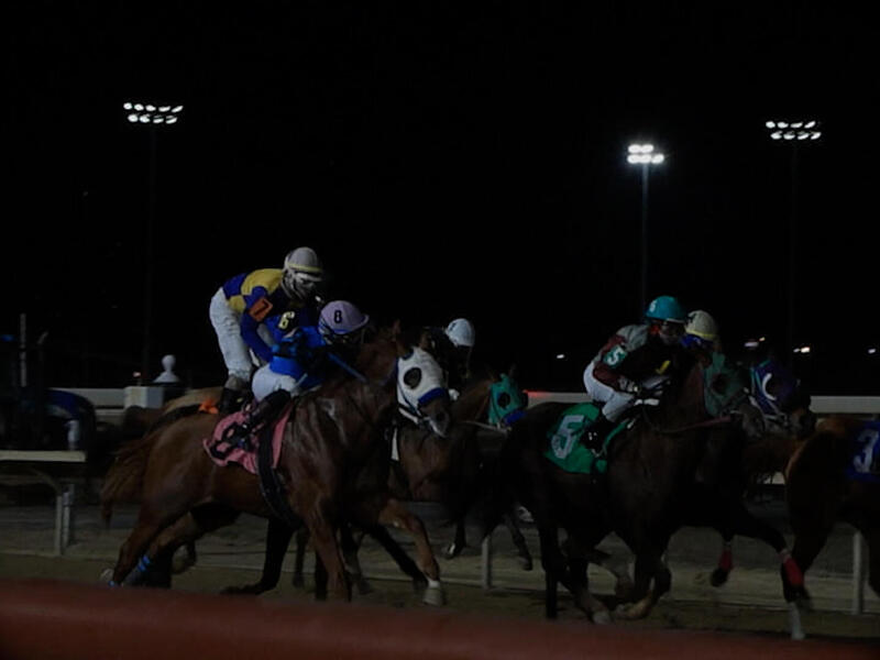 A photo that shows horse jockeys riding horses. 