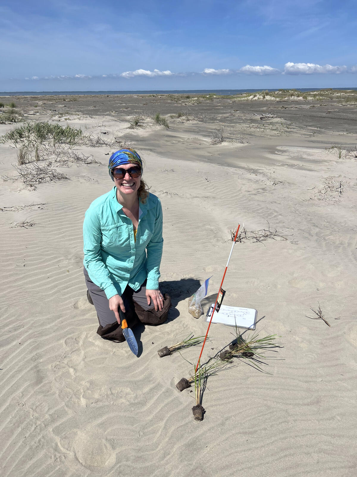 A photo of a woman sitting on a sand dune holding a shovel. Next to her are clumps of grass ready to be planted. 