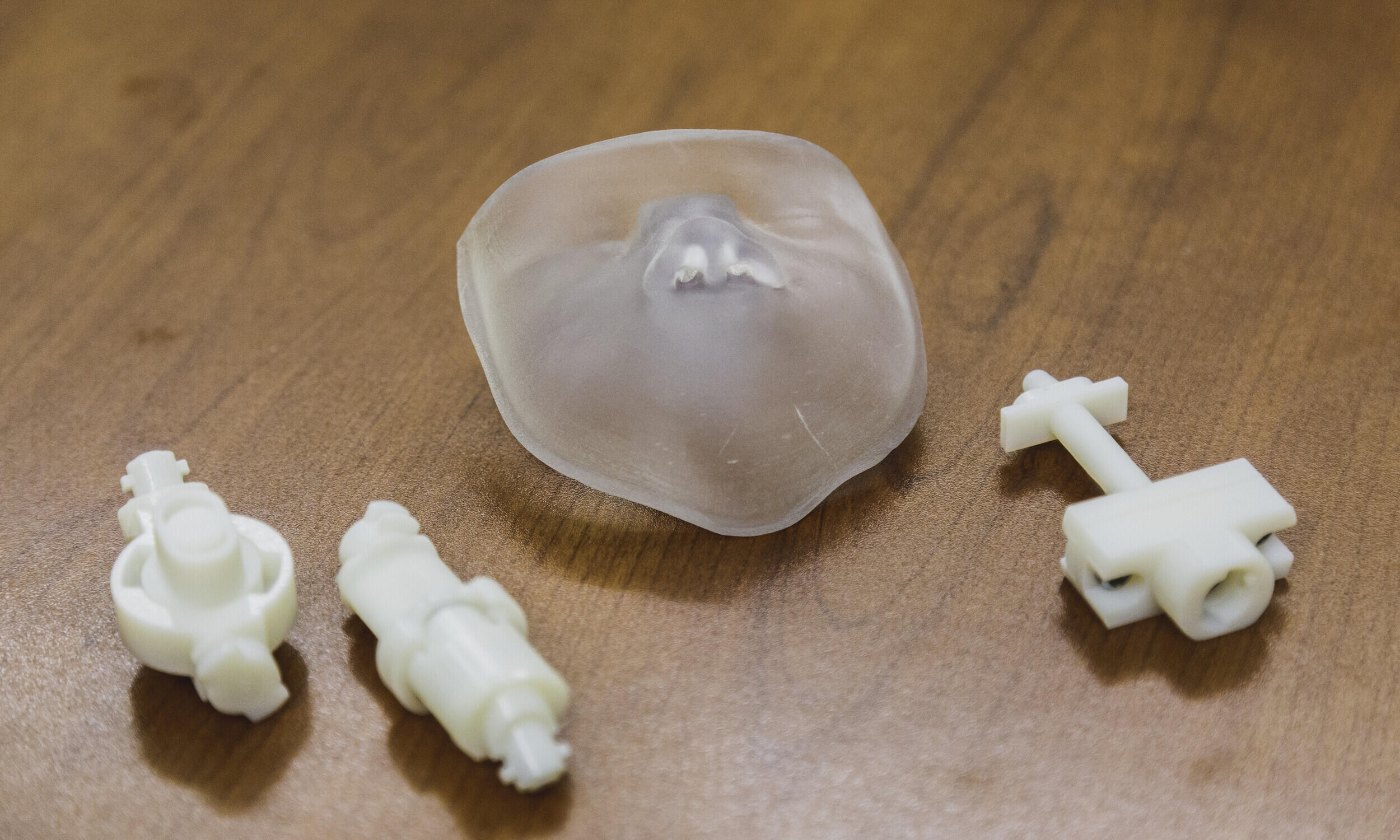 Components of an inhaler.