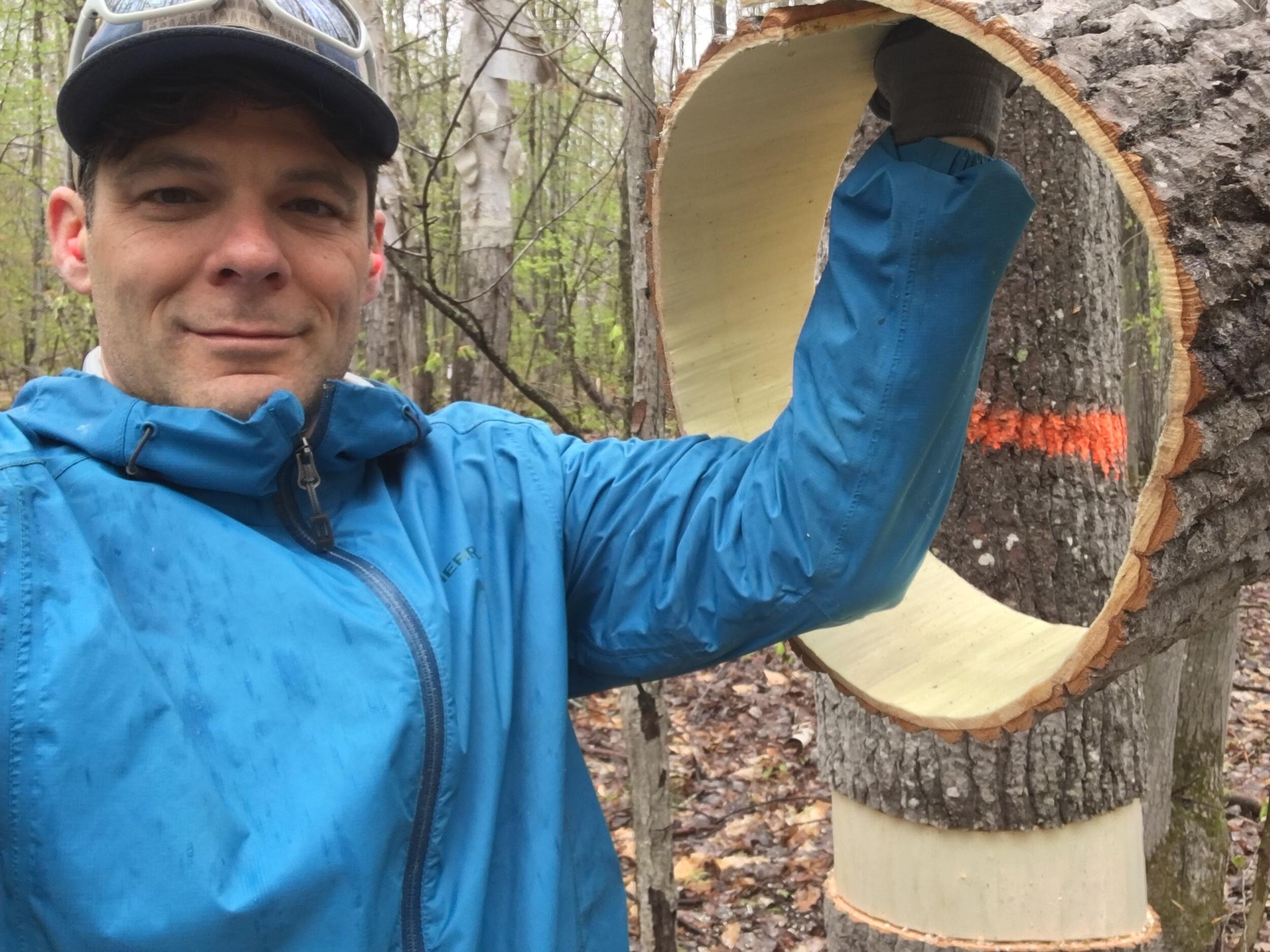 Man holds up bark from a tree. 