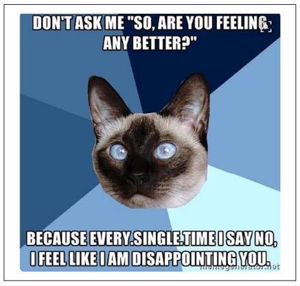 Meme featuring cat face and text reading "Don't ask me, 'so are you feeling any better?' because every. single. time I say no, I feel like I am disappointing you."