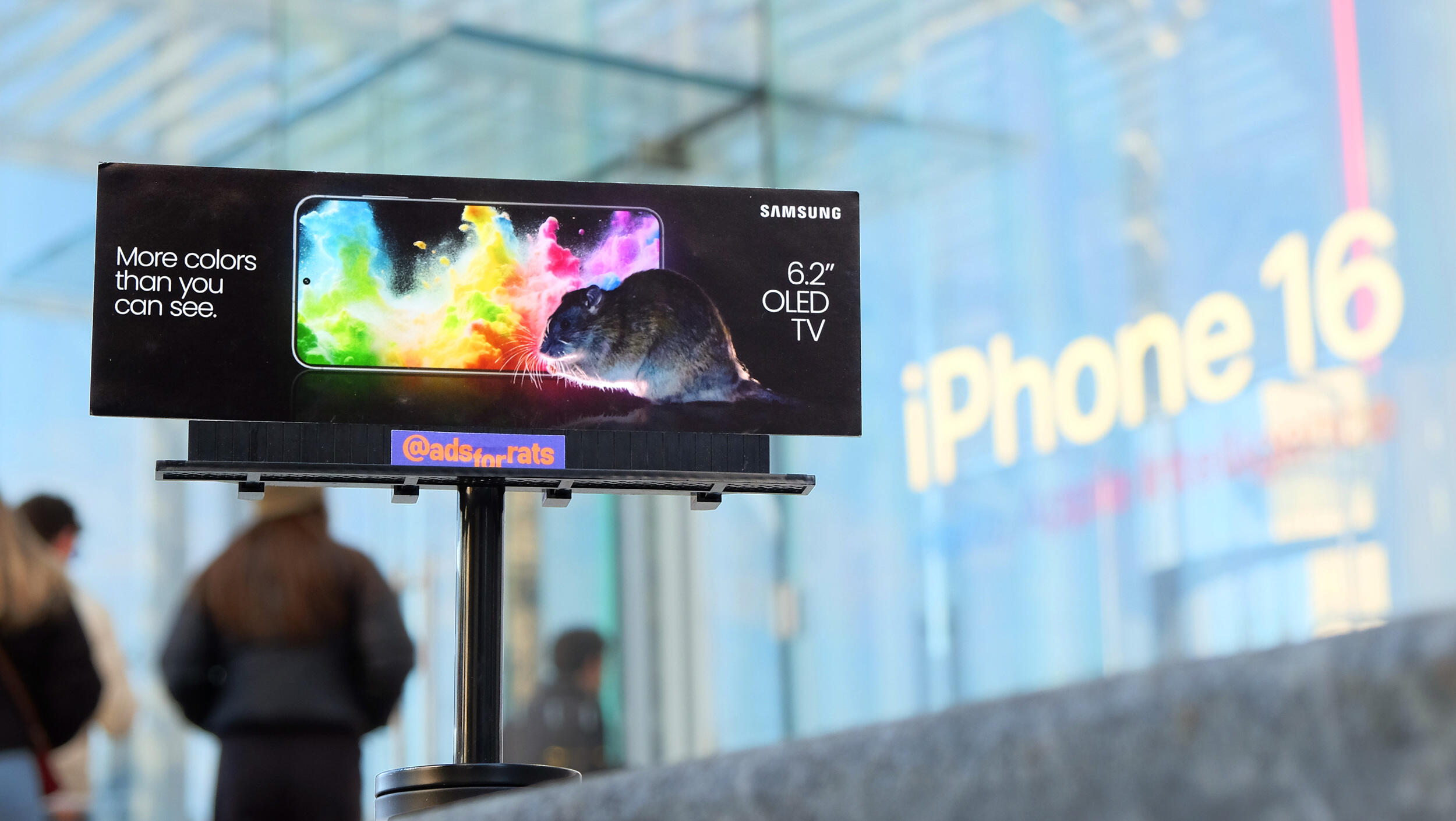 A photo of a mini billboard that has a photo of a rat sitting in front of a smart phone. White text reads \"More clors than you can see\" \"SAMSUN\" \"6'2\" OLED TV\"