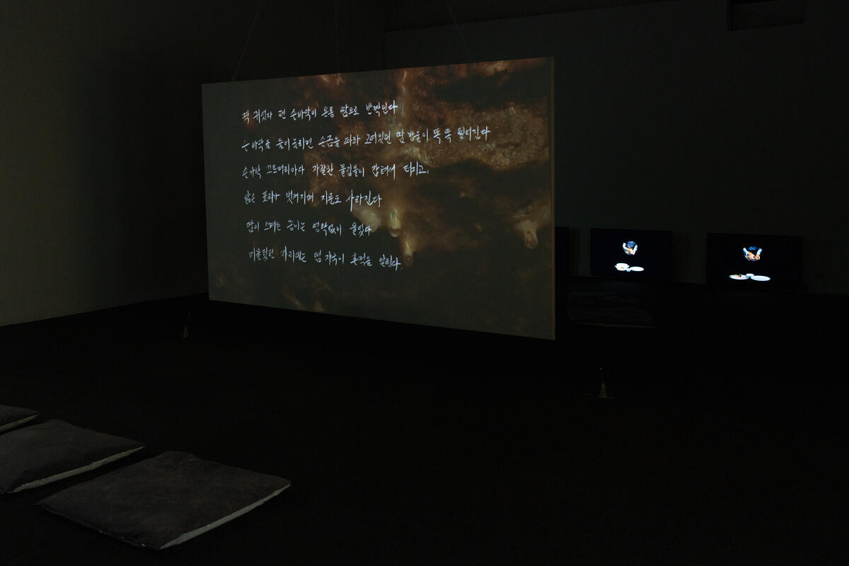 Korean text on a screen
