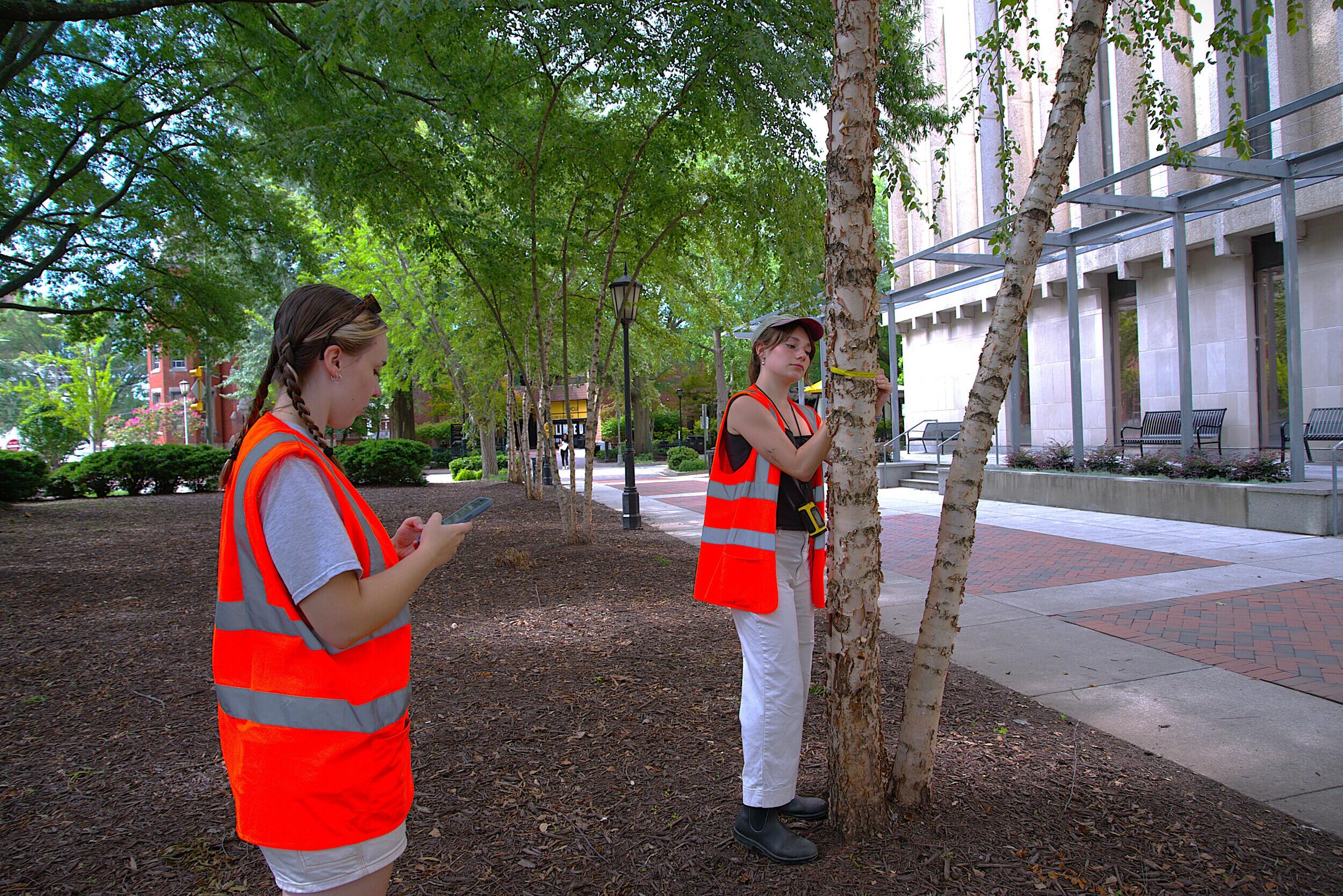 A photo of one woman measuring the circumference of a tree, and the other recording the information on a phone app. 