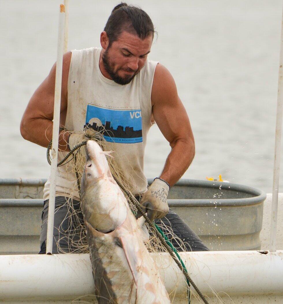 A photo of a man in a boat holding a large fish. 