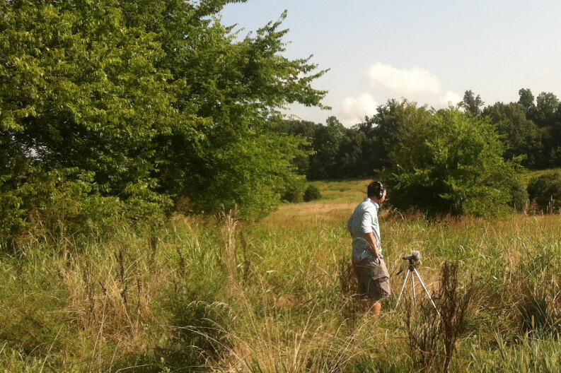Vaughn Whitney Garland Ph.D., M.F.A., in a field off of Route 5. Photograph by Robert Walz.