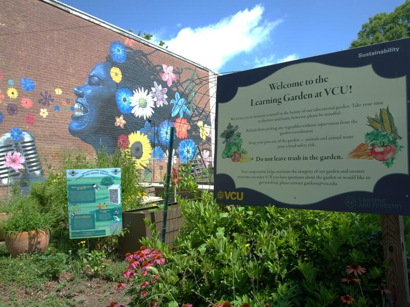 A photo of a blooming garden. 