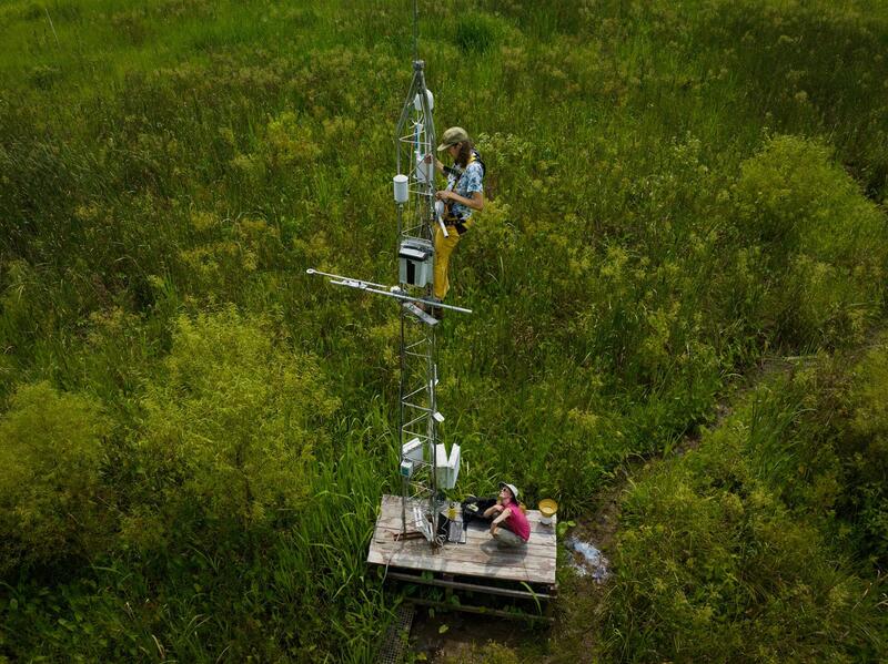 A photo of two people on a tower in the middle of the woods. 