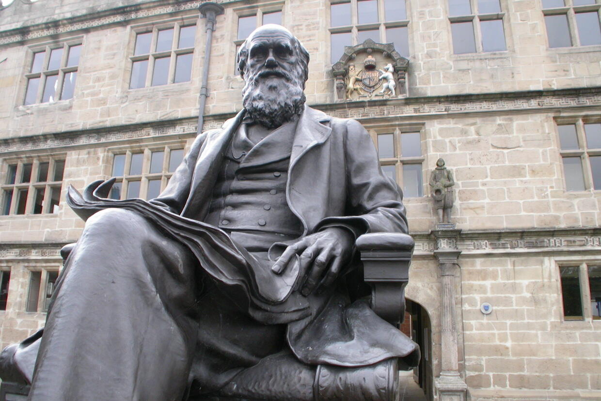 A statue of Charles Darwin.