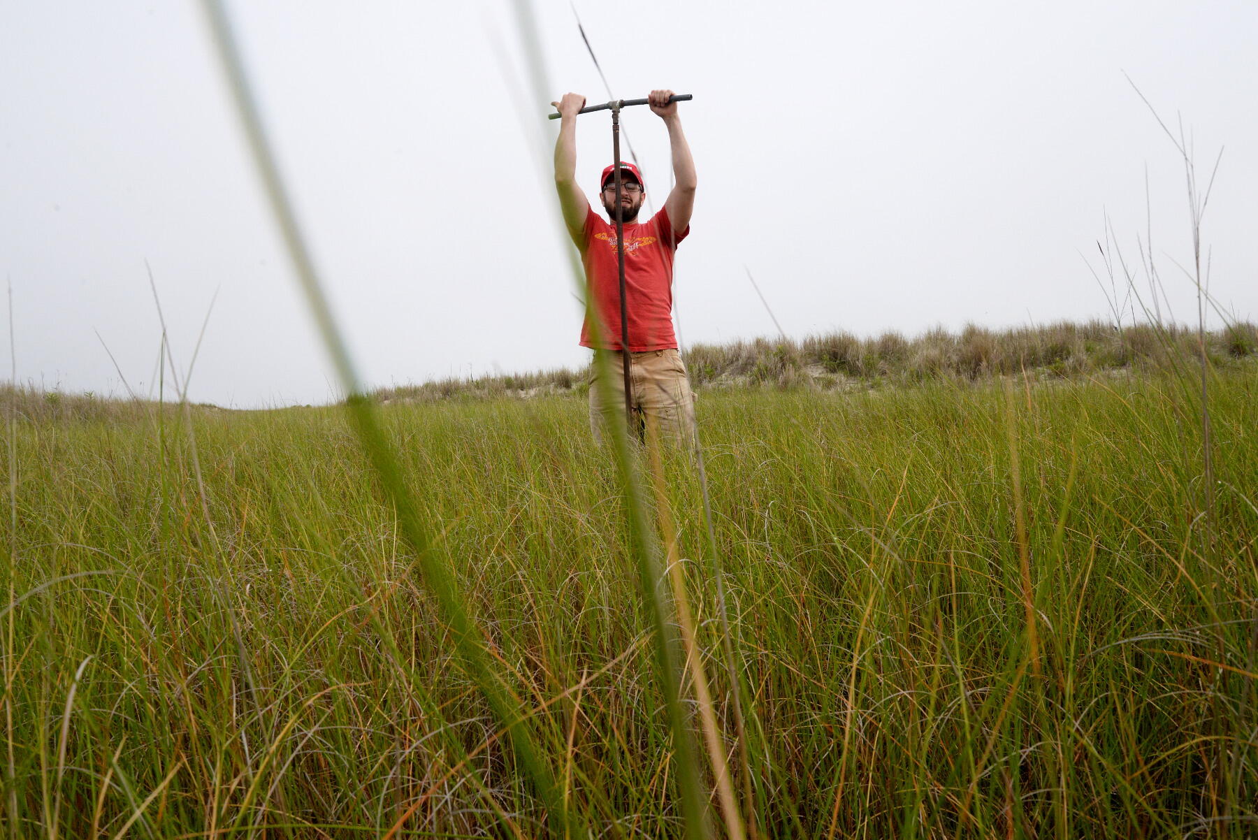 Biology master's degree student Michael Sinclair uses a soil auger on Hog Island to take water samples. (Photo by Brian McNeill, University Relations)