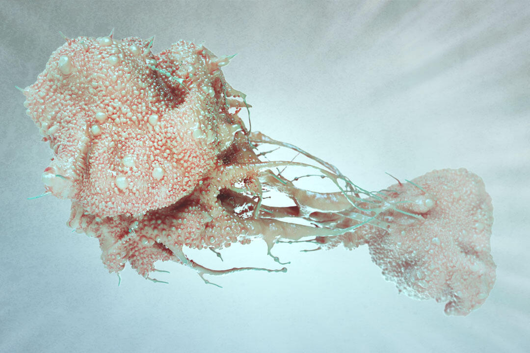 Dan Catalin Nacu created this 3-D model and render of what a cell looks like when it is rupturing and breaking apart. 
