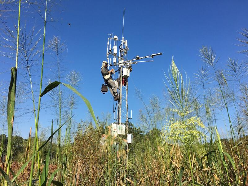 Stephen Chan of Ameriflux conducts a site evaluation of a tower that gathers greenhouse gas data at VCU Rice Rivers Center.
