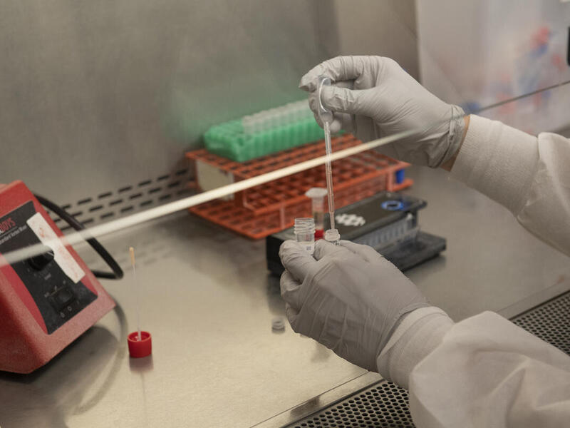 Hand holding test tubes in lab.