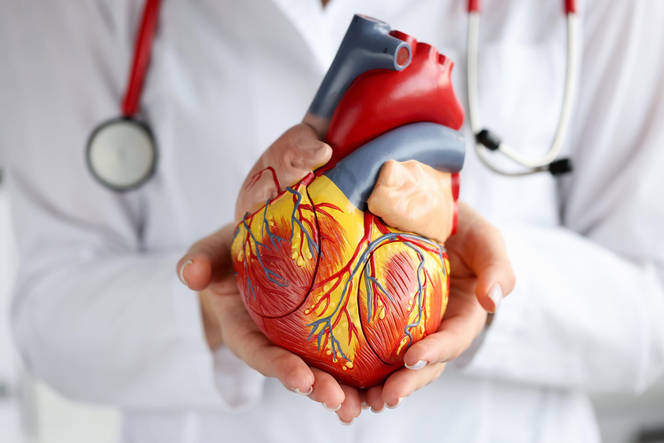 Multi-institutional project awarded $31M to study promising heart ...