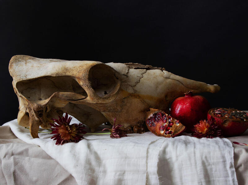 A photo of an animal skull on a white table with white and beige fabric. Next to the skull are pomegranates and a flower. 