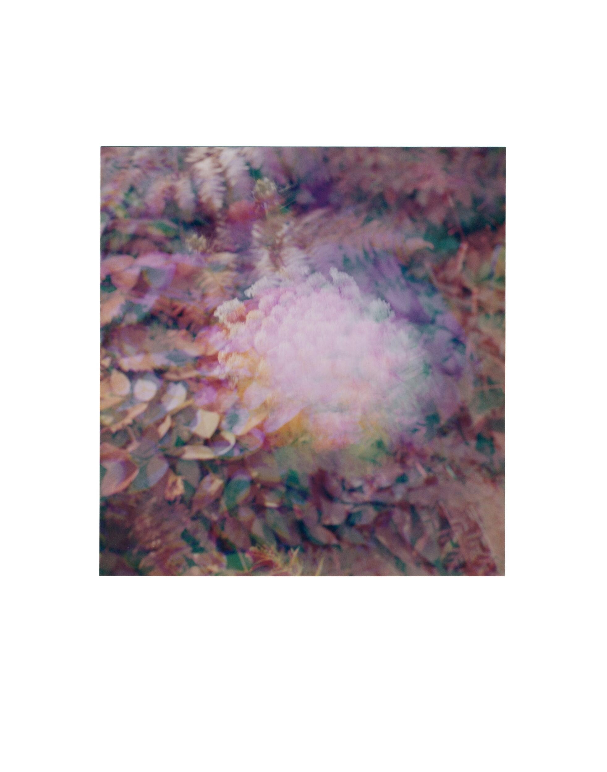 A blurry multicolored image 