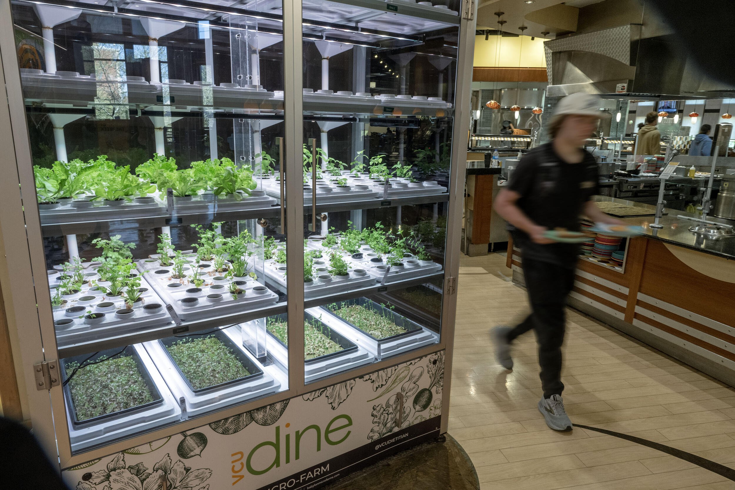 A photo of a cabinet full of plants. There is a man holding a tray of food walking past it. 