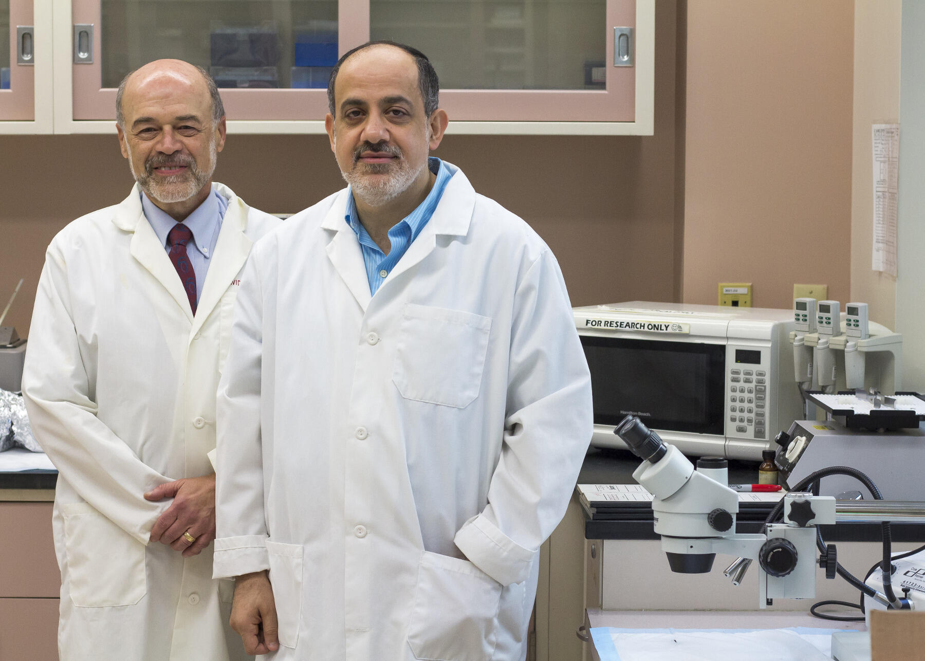 David Gewirtz, Ph.D., and M. Imad Damaj, Ph.D.