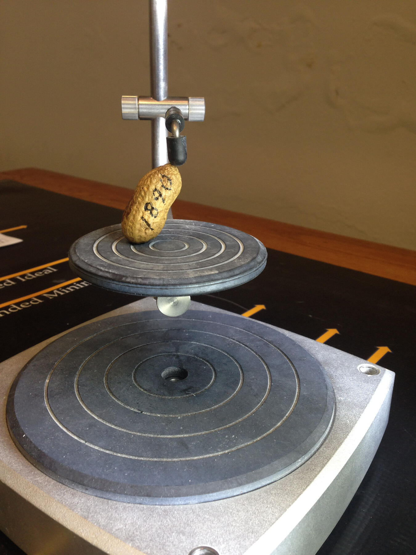 Means also 3-D scanned the world's oldest peanut, which was grown in 1890 and used by P.D. Gwaltney in advertising for his peanut business. See a GIF of the 3-D scan below.
