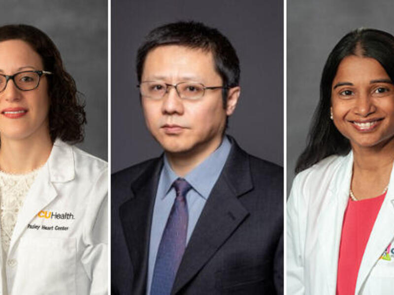 From left: Wendy Bottinor, Jiong Li and Mathula Thangarajh.