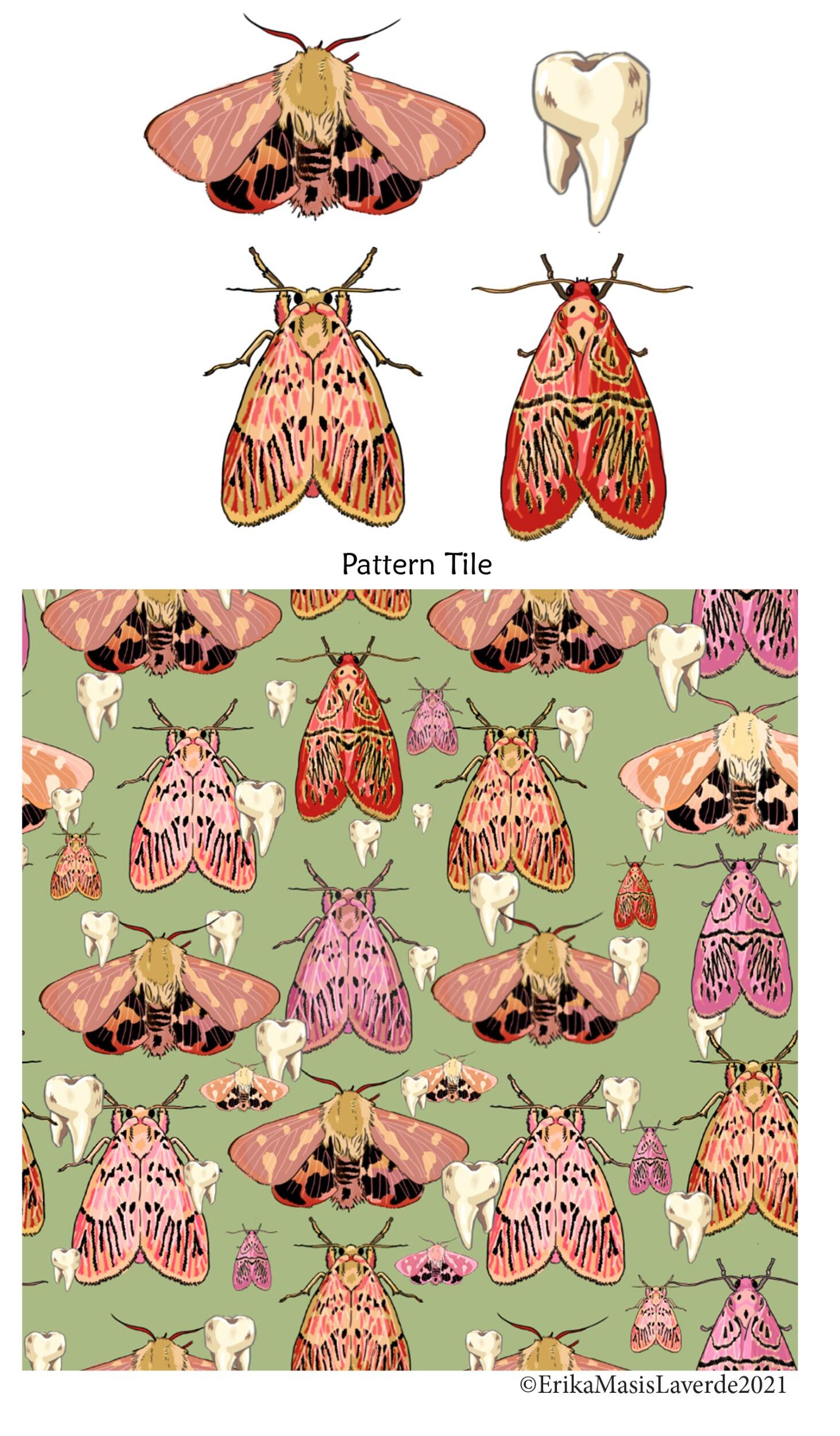 Pattern studies of butterflies by Erika Masis Laverde done in digital media as a part of a larger project for digital drawing.