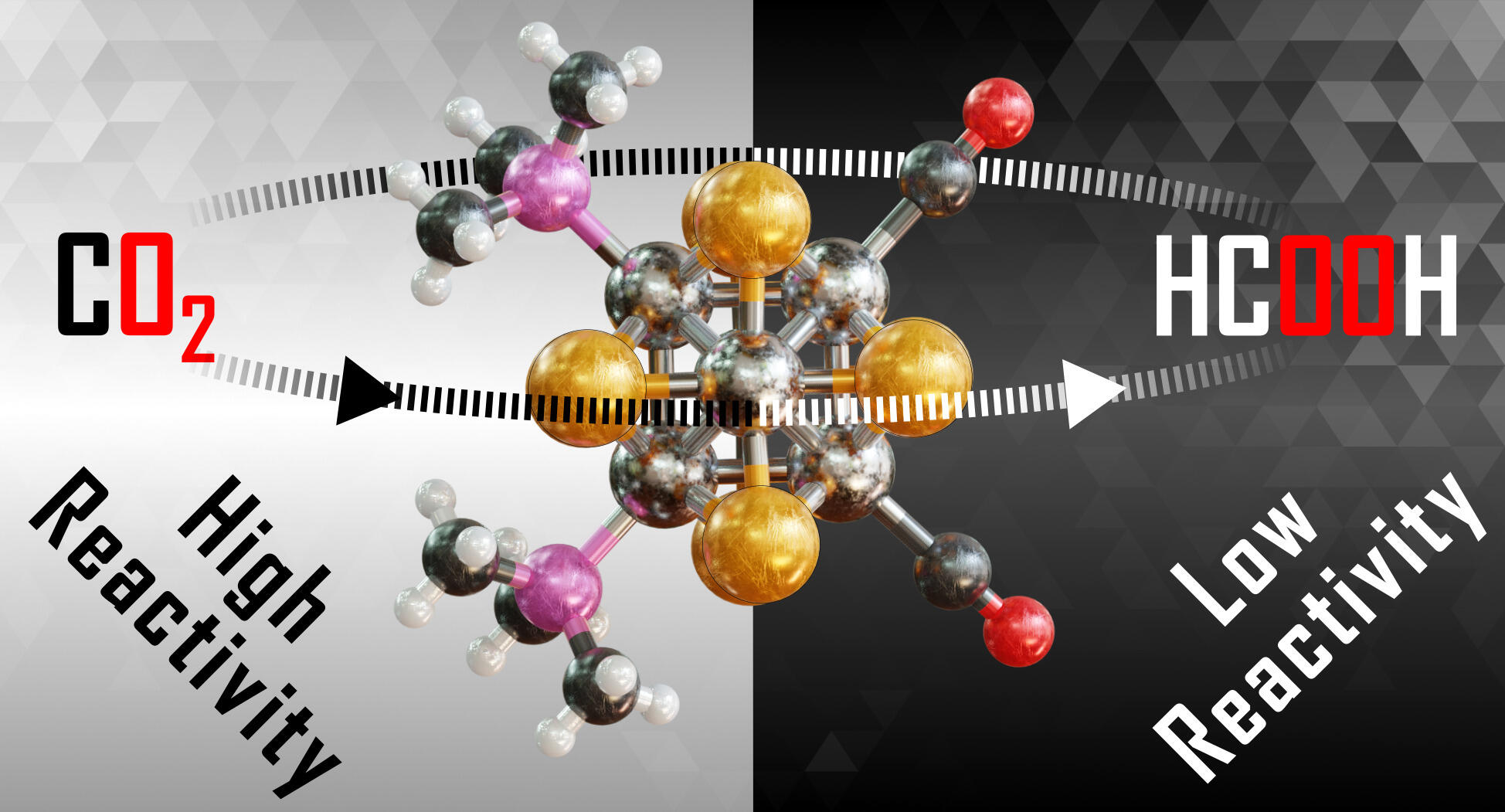 An illustration of cells.