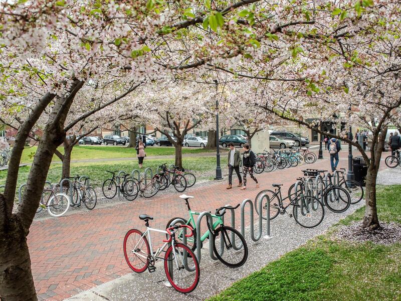 People walk down a brick walkway with bikes on racks on either side of them.