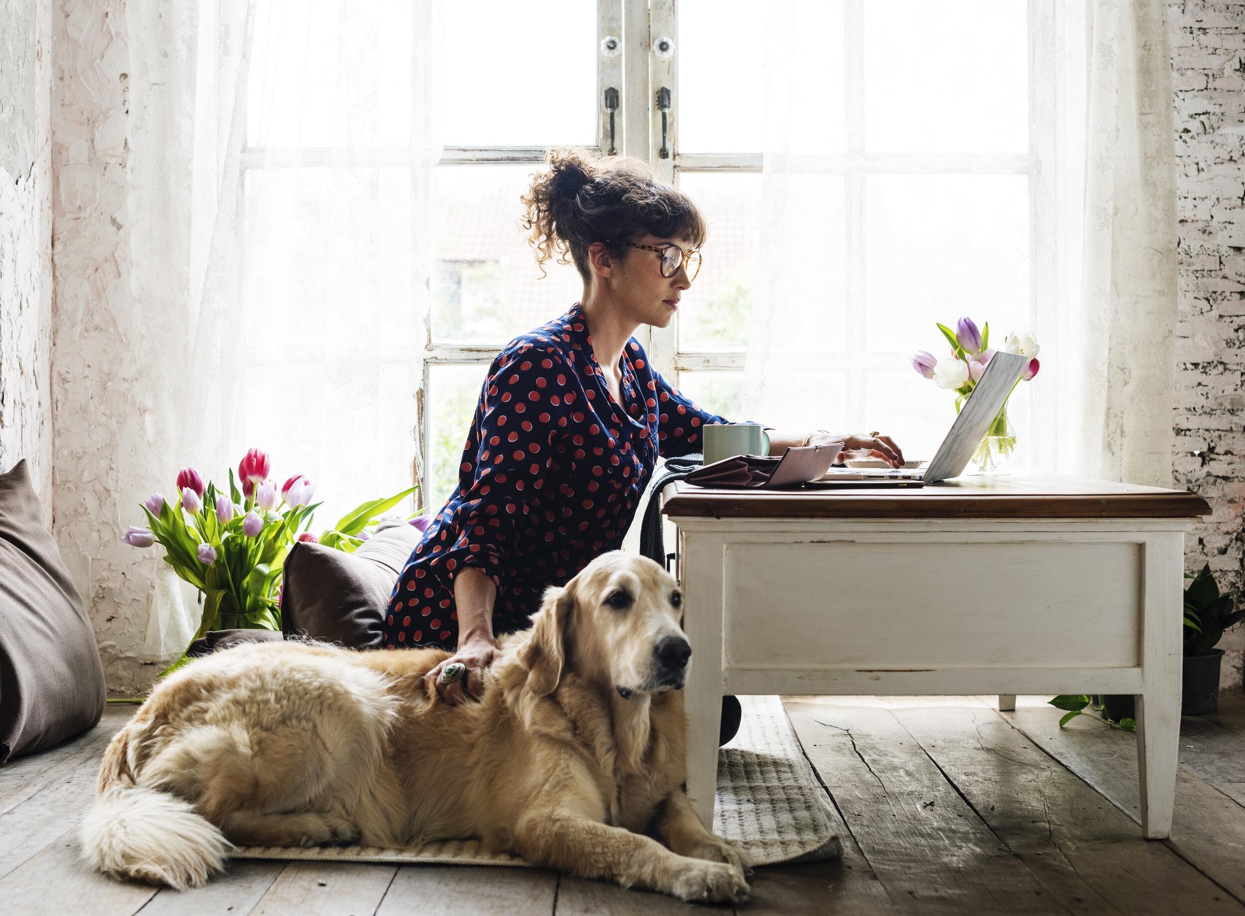 A person uses a laptop computer on a desk. A dog sits next to them.
