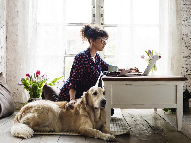 A person uses a laptop computer on a desk. A dog sits next to them.